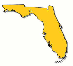 FL Bus Ins.